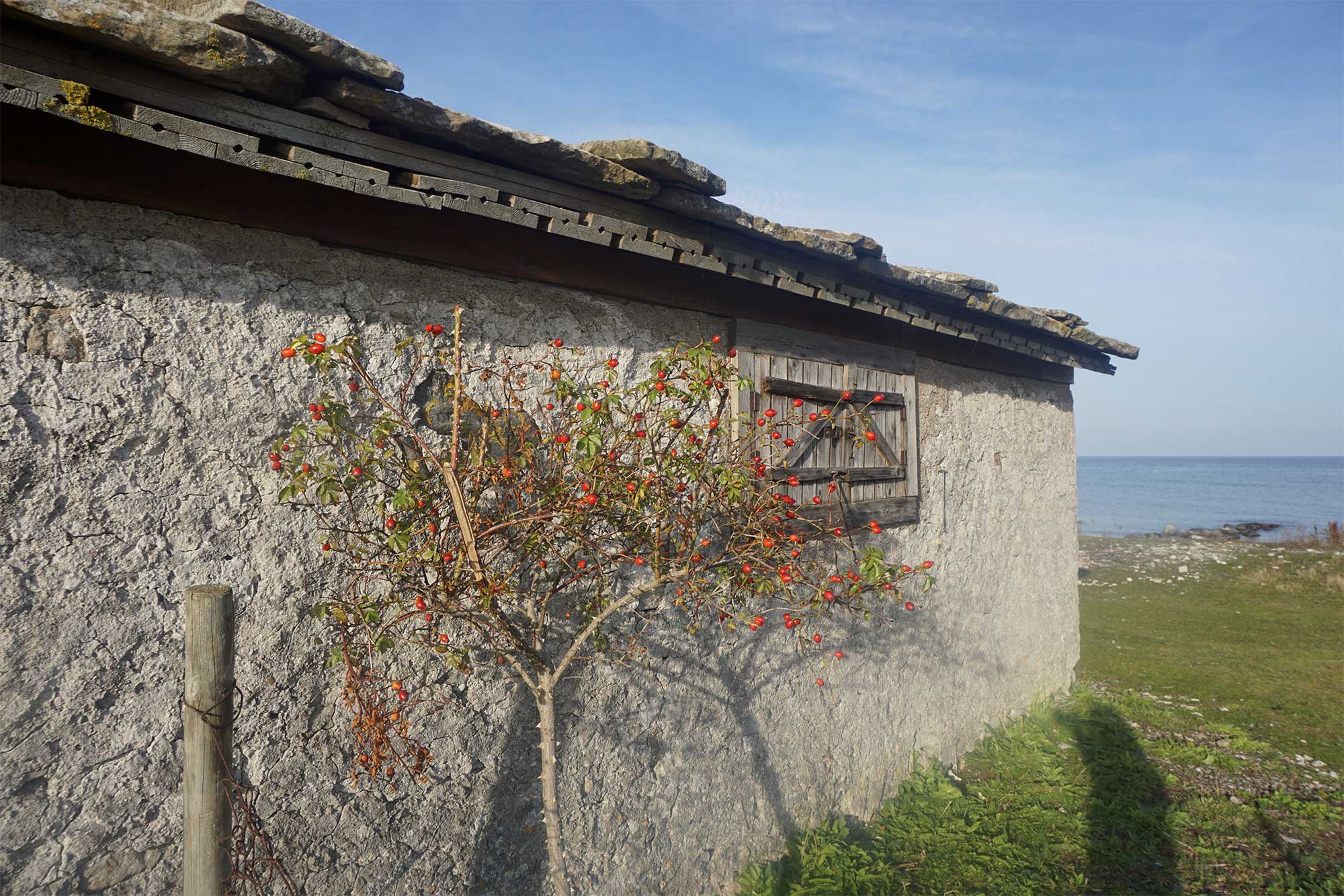 Hus på Gotland vid vattnet