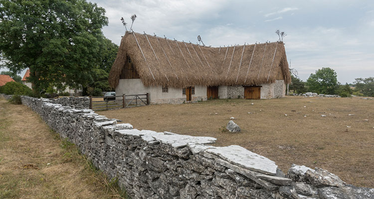 Hus med grästak och stenmur